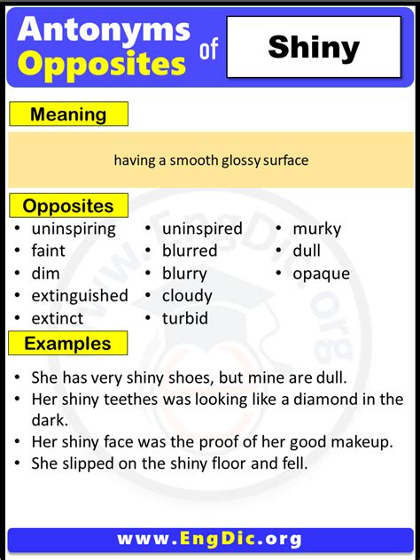 Opposite of Loyal, Antonyms of Loyal (Example Sentences) - EngDic