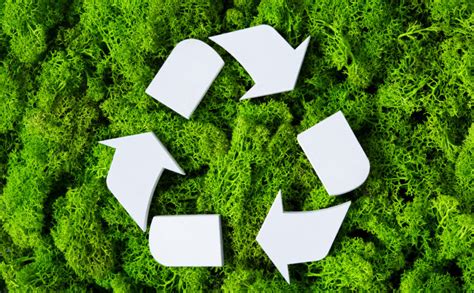 How to improve & increase your recycling – The Waste Management ...