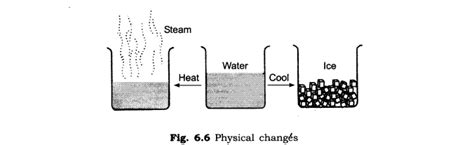 Image result for Science Topic Changes around Us for Class 6