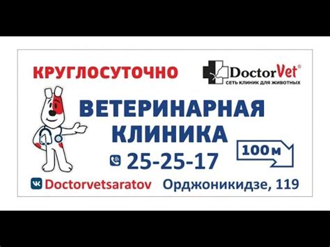 Ветеринарная клиника «Doctor Vet», Орджоникидзе, 119 - YouTube