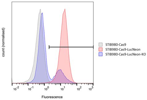 Trypanosoma cruzi STIB980: A TcI Strain for Drug Discovery and Reverse ...