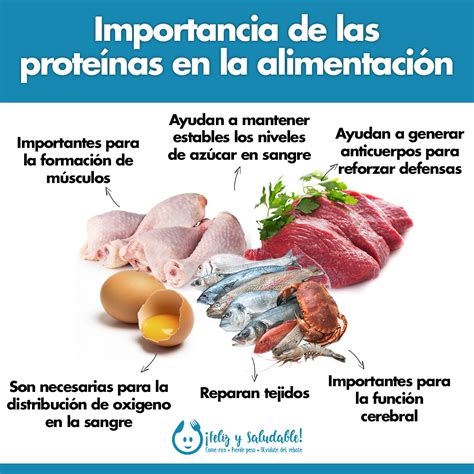 La importancia de las proteínas para la recuperación y el rendimiento