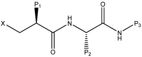 Ligand and Structure-Based Approaches for the Identification of Peptide ...