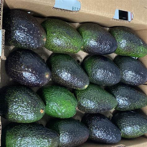 DMC PRODUCE LLC (@dmcavocados) • Instagram photos and videos