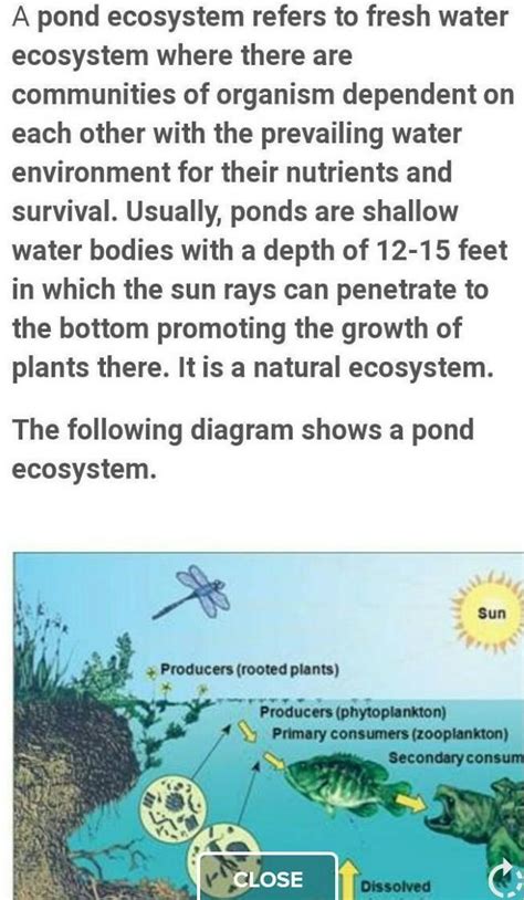 Ecosystem Drawing 的图像结果
