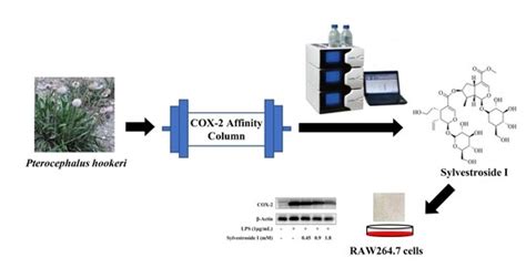 Targeted Separation of COX-2 Inhibitor from Pterocephalus hookeri Using ...