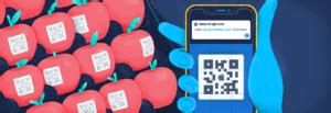 QR Code Decoder & Reader (Free & Fast) - Codexcoach