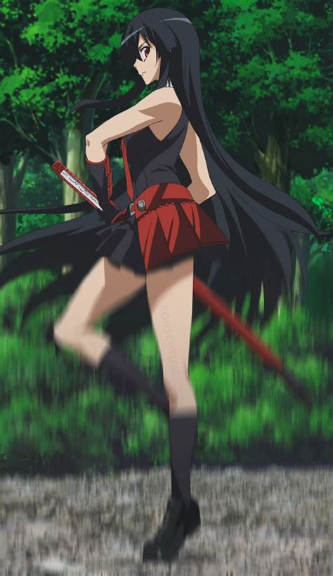 Pin by Justin Akame on Akame | Akame cosplay, Akame ga kill, Anime