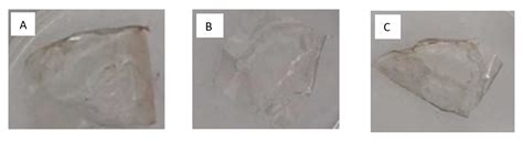 Improving Sodium Alginate Films Properties by Phenolic Acid Addition