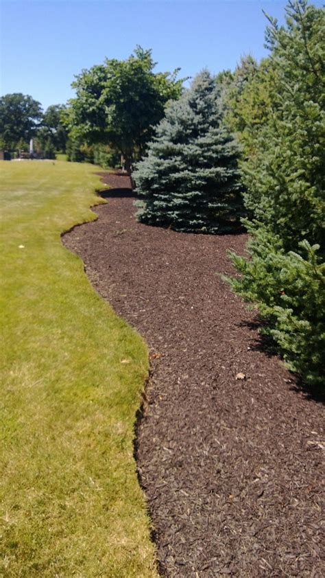 Average Mulch Installation Costs at Katie Eliott blog