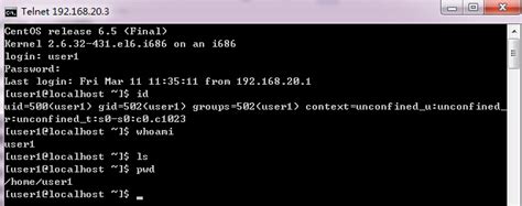 Linux telnet测试IP和端口是否能访问_linux bash脚本判断 telnet 某个ip是否可访问-CSDN博客