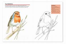 vogel malvorlagen quiz vogelwarte ch v 246 gel malspass vogel malvorlagen quiz vogelwarte ch v 246 gel malspass