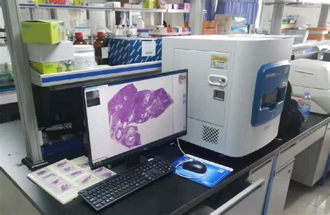 Image result for WinPath Pathology System