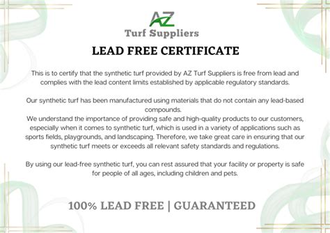 Image result for Lead Free Example