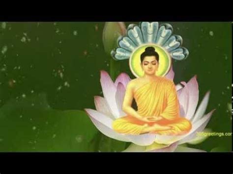 Hòa tấu - Bình an Thân và Tâm - Chùa Bửu Châu - Giáo Hội Phật Giáo Việt Nam