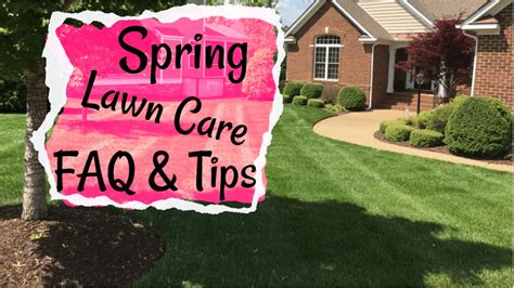 Image result for Spring Lawn Care Tips