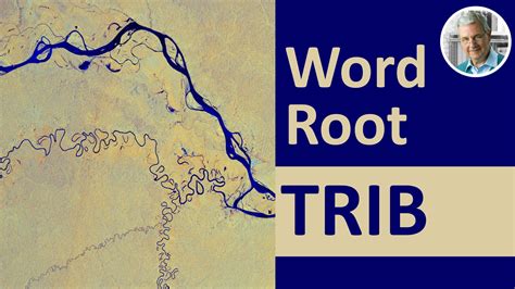 The Meaning of Word Root DICT