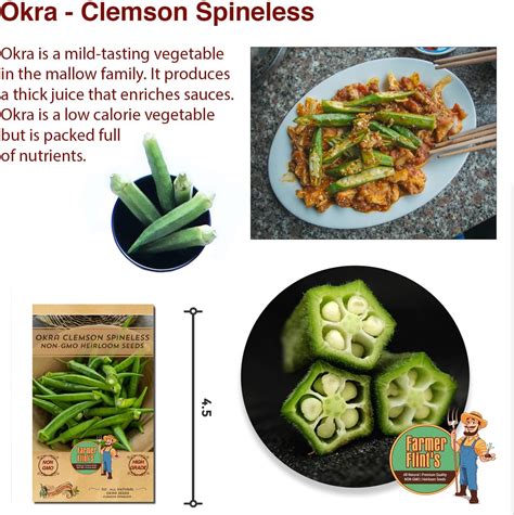 Okra Clemson Spineless Seeds – Semillas de Okra de reliquia sin OMG ...