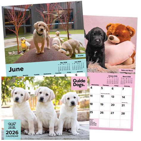 2026 Calendar - Guide Dogs SA/NT