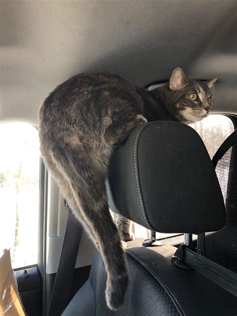 331 best u/fraggle-stick-car images on Pholder | Black People Twitter ...