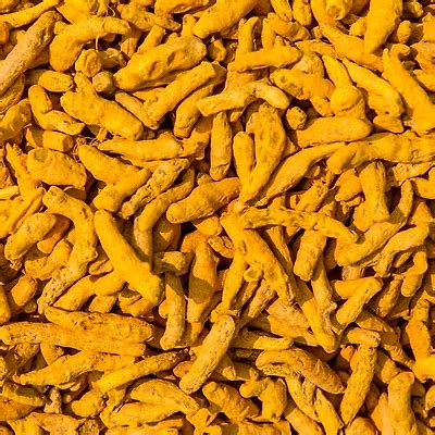 Import High-Quality Turmeric Finger – Premium & Pure | Indian Business ...