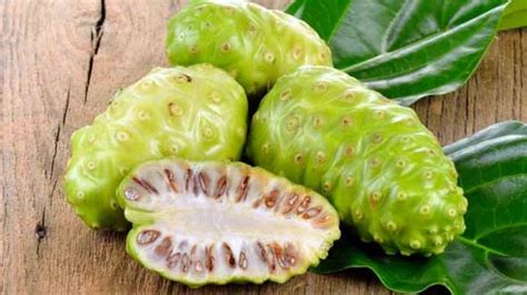 Noni fruit – A small fruit with big benefits