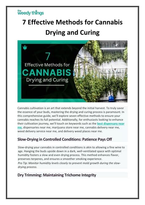 Image result for Marijuana Drying Methods