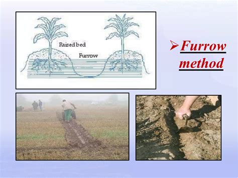 Image result for Irrigation Tutorials