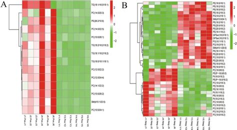Image result for Heatmap Matplotlib Geographical