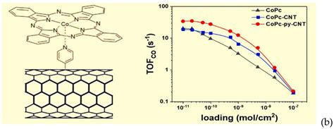 CO2 Electroreduction on Carbon-Based Electrodes Functionalized with ...