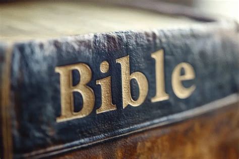 Is the Bible Capitalized? Grammar Rules You Must Know