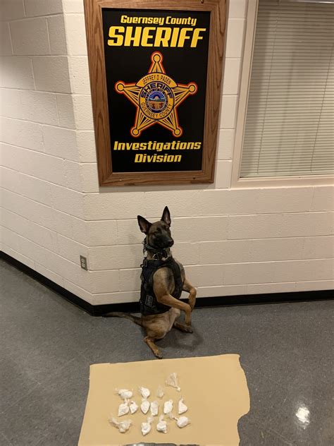 Cleveland Female Arrested For Trafficking Substantial Amount of Illicit ...