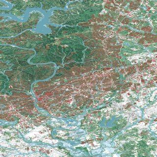 Texas 的图像结果