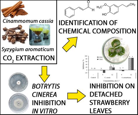The Extracts of Cinnamon and Clove as Potential Biofungicides against ...