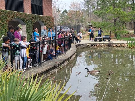 Plan Your Visit | Cape Fear Botanical Gardens, Fayetteville North Carolina