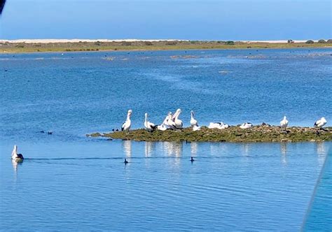 Mundoo Island Station (South Australia) - 2022 What to Know Before You ...