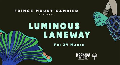 LUMINOUS LANEWAY, 'No Name Lane' - between Commercial Street E & Percy ...