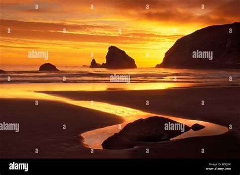 Image result for Vector Computer Frame