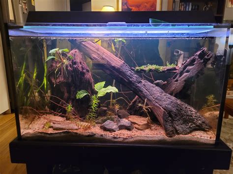 Image result for Native Fish Tank