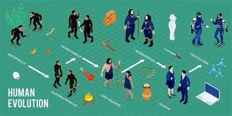 Evolution Graphic 的图像结果