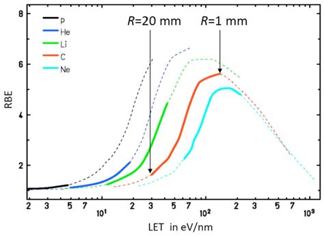 Image result for Local Effect Model