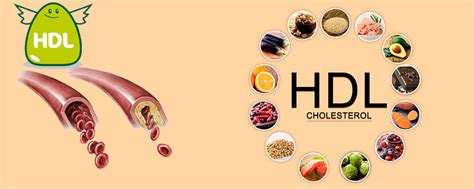 Image result for HDL Components Code