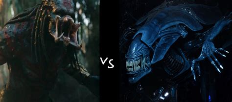 Ultimate Predator vs Alien Queen by MnstrFrc on DeviantArt