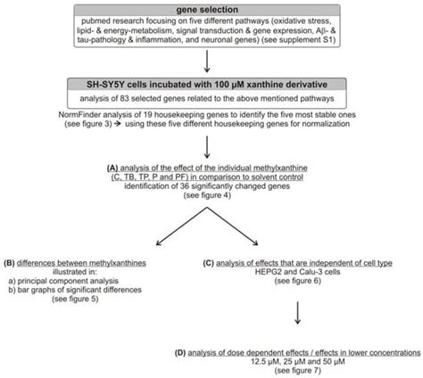 Unique Role of Caffeine Compared to Other Methylxanthines (Theobromine ...