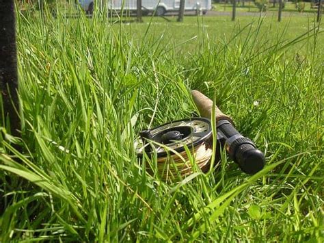 Image result for Fishing Rod Types