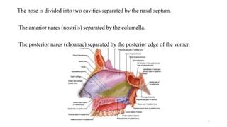 Image result for Redis Java Docket
