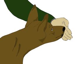 Image result for Target Training for Dogs