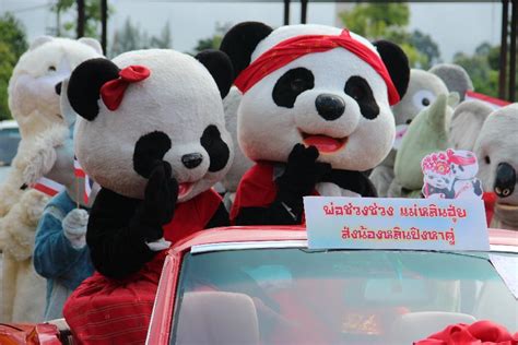 “永明”等三只旅日大熊猫今日启程回国-中国科技网