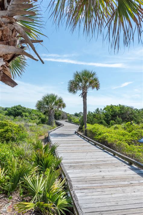 State Parks Near Myrtle Beach Myrtle Beach State Park Myrtle Beach,