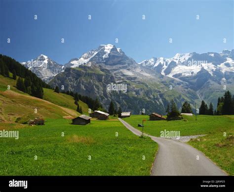 Blumental valley walk, Murren, Bernese Oberland, Switzerland Stock ...